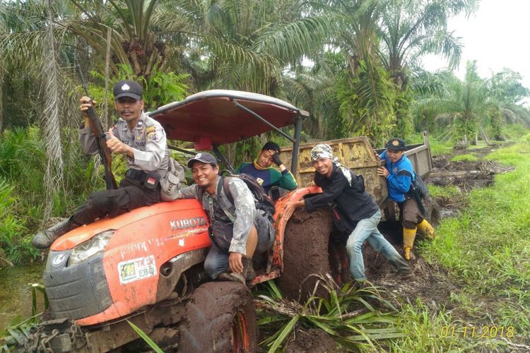 Upaya tim gabungan dan BKSDA Riau melakukan penangkapan terhadap harimau Bonita.
