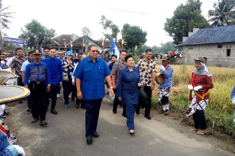 Ketua umum partai Demokrat Susilo Bambang Yudhoyono, Ani Yudhoyono bersama Edhie Baskoro Yudhoyono disambut pasukan bergodo saat menuju lokasi panen padi di di Dusun Bantarjo dan Dusun Bakalan Donoharjo Ngaglik, Sleman, Yogyakarta.
