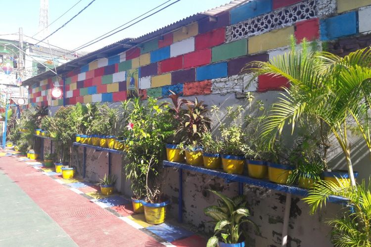 Pemandangan warna-warni di Gang Nangka juga terlihat di dinding rumah warga dan pot-pot tanaman.