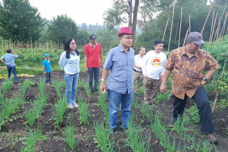 Pertanian cabai dan bawang di Minahasa, Sulawesi Utara