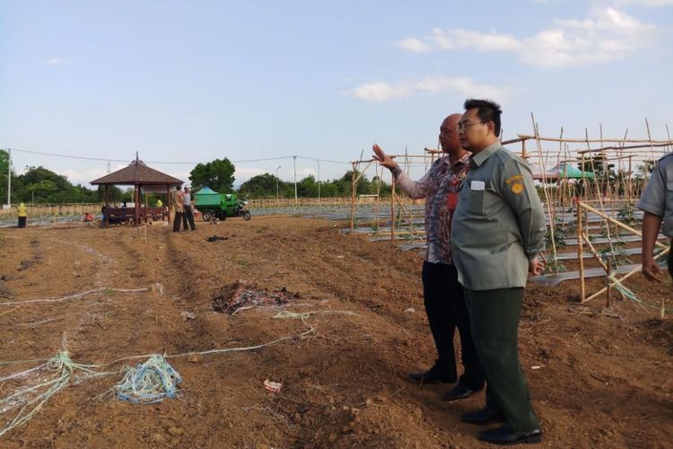 Kementerian Pertanian terus berkoordinasi dengan Pemerintah Provinsi Kalimantan Selatan dalam persiapan peringatan Hari Pangan Sedunia (HPS) ke-38 akan diselenggarakan pada 18-20 Oktober mendatang di Kalimantan Selatan.  
