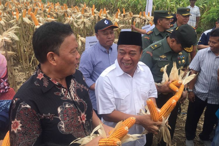 Bupati Lamongan Fadeli ditemani Dirjen Tanaman Pangan Kementan Gatot Irianto melakukan panen raya di Kabupaten Lamongan, Jawa Timur.
