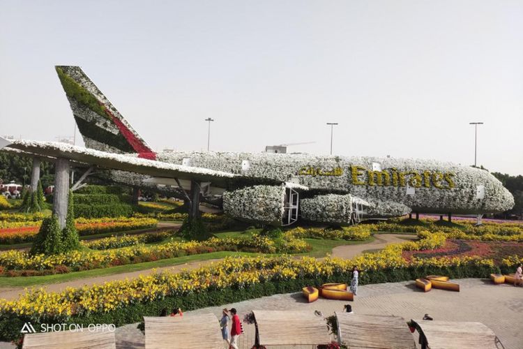 Pesawat Airbus A380 Emirates berada di Dubai Miracle Garden, taman bunga seluas 72.000 meter persegi yang ada di Kota Dubai, Uni Emirat Arab