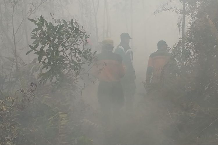 Tim Satgas Karhutla memadamkan api di Kelurahan Terkul, Kecamatan Rupat, Kabupaten Bengkalis, Riau, Sabtu (23/2/2019).