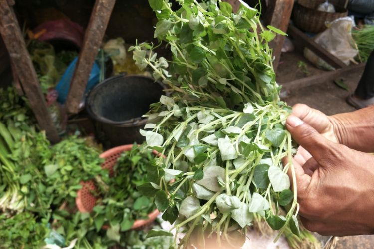 Daun suruhan atau dalam bahasa latin disebut piperaceae yang digunakan sebagai pelengkap masakan khas Kamboja, lok lak.