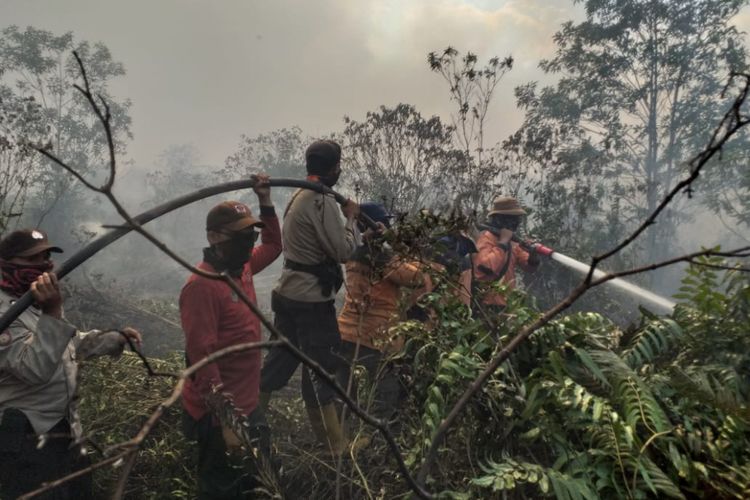 Upaya pemadaman karhutla di Kecamatan Rupat, Kabupaten Bengkalis, Riau, Jumat (23/2/2019). 