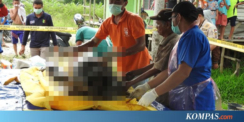 Polisi Tangkap Pemenggal Kepala Orangutan di Kalimantan Tengah
