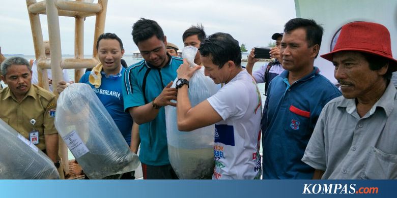 Kunjungi Pulau Tidung, Sandiaga Panen dan Bagikan Benih Ikan ...