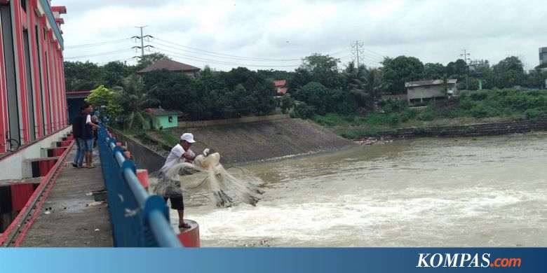 Ikan dan "Kuya-kuya" yang Hilang di Cisadane...