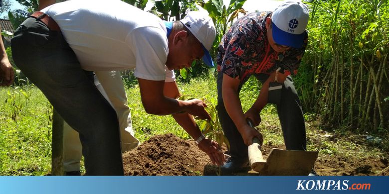 Teknologi Baru demi Panen Durian Melimpah di Lereng Merbabu