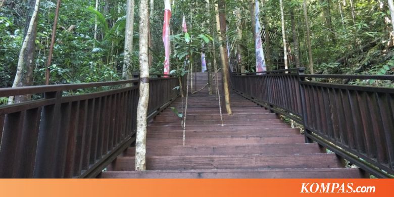 Mendaki Puncak Piaynemo Lewat Jalur Baru, Apa Rasanya?