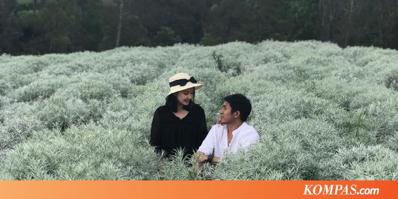 Waktu Terbaik untuk Kunjungi "Kebun Edelweis" di Besakih Bali