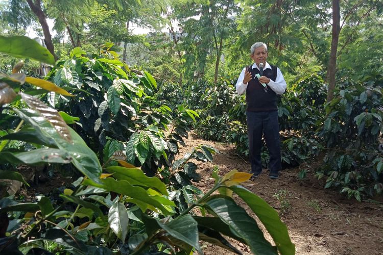 Kepala Agronomis Starbucks Farmer Support Center (FSC) Surip Mawardi saat menjelaskan mengenai area yang ada di lahan FSC, Jumat (8/6/2018).
