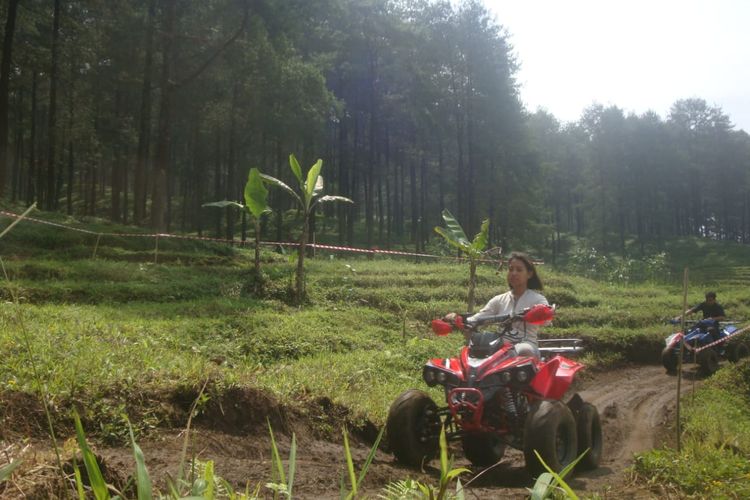 Pengunjung menjajal ATV yang ada di Hutan Pinus Limpakuwus Desa Limpakuwus, Kecamatan Sumbang, Kabupaten Banyumas, Jawa Tengah.