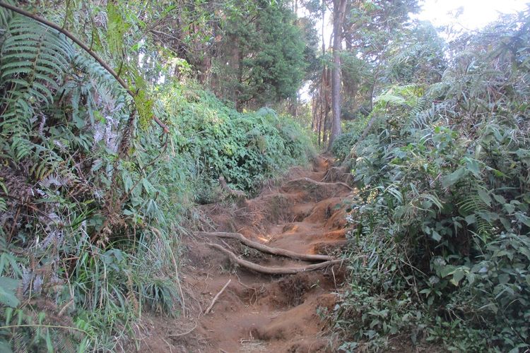 Jalur pendakian via Dworowati. 