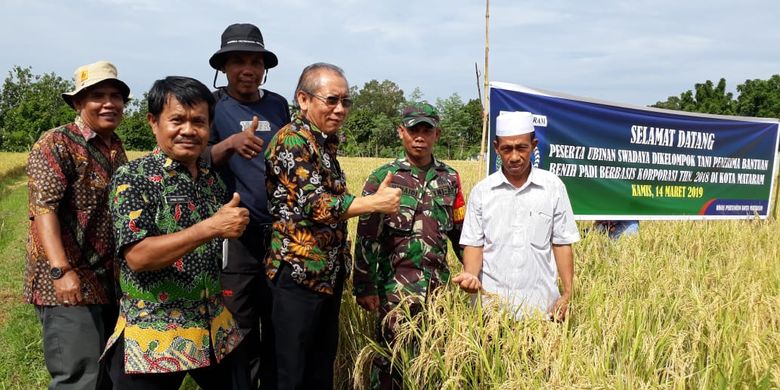 Direktur Perbenihan Tanaman Pangan Takdir Mulyadi saat melakukan kunjungan lapangan Mataram, Nusa Tenggara Barat (NTB)