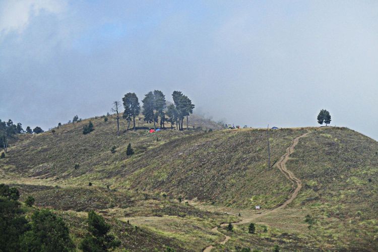 Area Berkemah Tlaga Wurung dilihat dari Puncak Gunung Prau