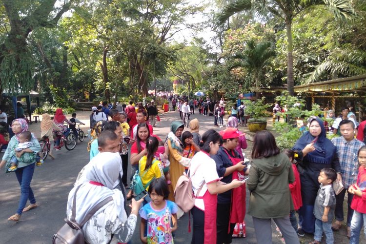 Pengunjung memadati Taman Margasatwa Ragunan, Kamis (6/6/2019).