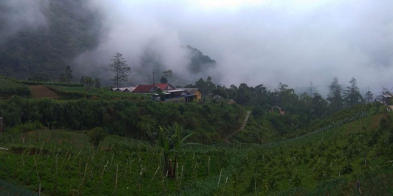 Kampung  Wono Mulyo di Magetan, Jatim, menyimpan keindahan alam dan keindahan budaya. Sulitnya medan membuat wisatawan yang berkunjung ke Telaga Sarangan kesulitan mengakses Kampong Musik Tongling tersebut. 