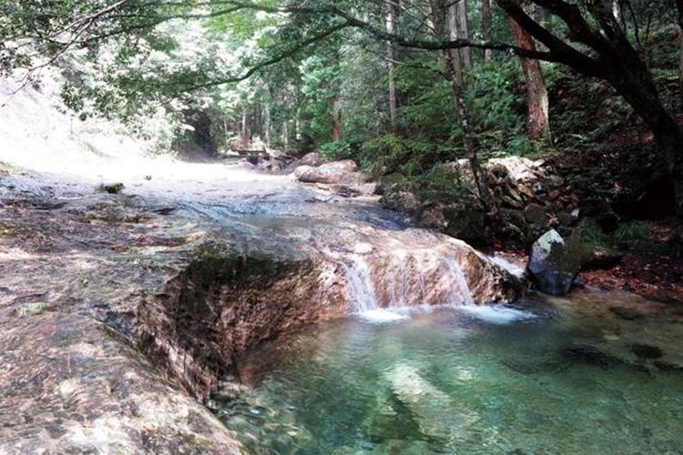 Kamu akan merasa rileks saat berjalan di tepi sungai yang indah ini