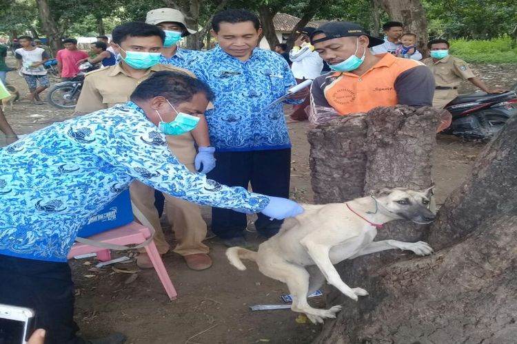 Petugas saat memberikan vaksinasi anjing untuk mencegah penyebaran virus rabies