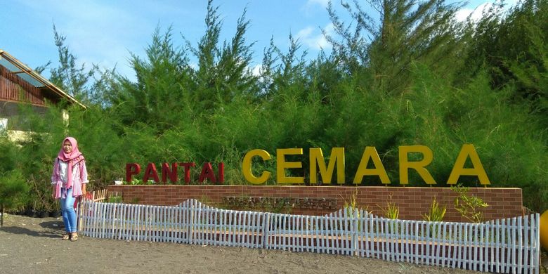 Pantai Cemara salah satu tempat wisata di Banyuwangi yang menjadi tempat konservasi pohon Cemara laut