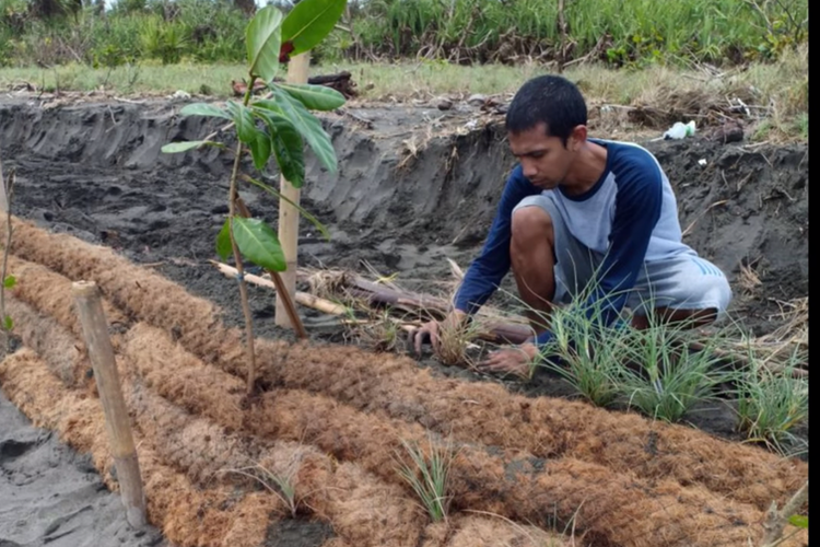 Sabut kelapa, karung goni dengan bahan murah lainnya digulung seperti bantal kemudian ditumpuk untuk dijadikan media tumbuh bagi tanaman. Tanaman ini akan berubah menjadi taman tanaman laut.