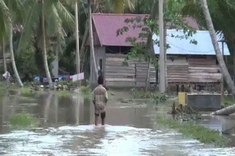 Buaya masuk kampung, warga korban banjir di Pasangkayu Sulawesi Barat takut diteror reftil ganas 