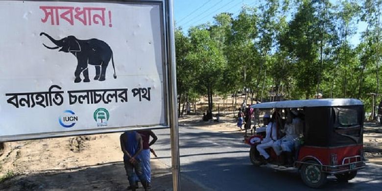 Sebuah plang bertuliskan peringatan - jalur bagi gajah liar ini berada di dekat kamp pengungsi Rohingya di Balukhali, Banglades.