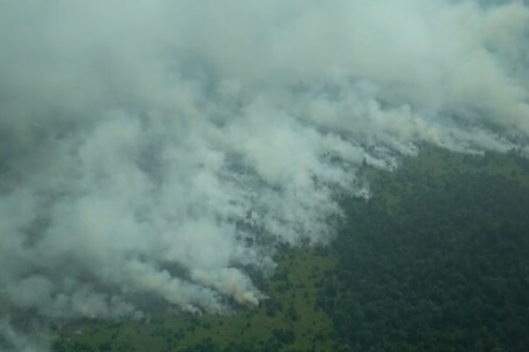 Kebakaran hutan dan lahan yang dipantau melalui udara di Kabupaten Indragiri Hulu, Riau, Senin (18/3/2019). Dok. Manggala Agni