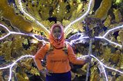 Malam Ini Semarang Night Carnival Digelar