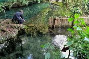 Dari Surga Ini, Air Sungai Citarum Berasal