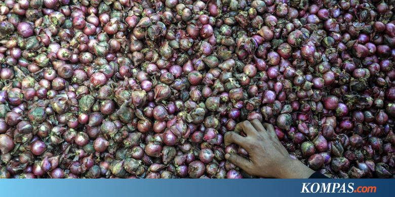 Mentan Lepas Ekspor Bawang Merah Brebes Ke Thailand