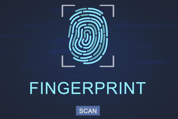 Fitur fingerprint mulai banyak diaplikasikan untuk keamanan ponsel pintar. Namun, tak banyak orang tahu cara kerja teknologi ini.