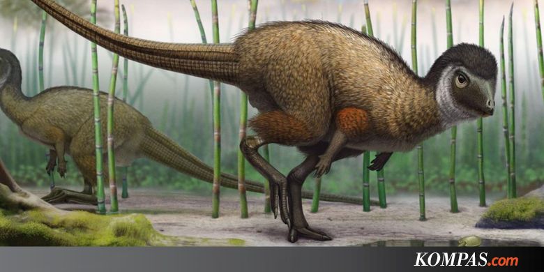 Mengenal Paleoartis yang Hidupkan Kembali Makhluk Paleolitikum