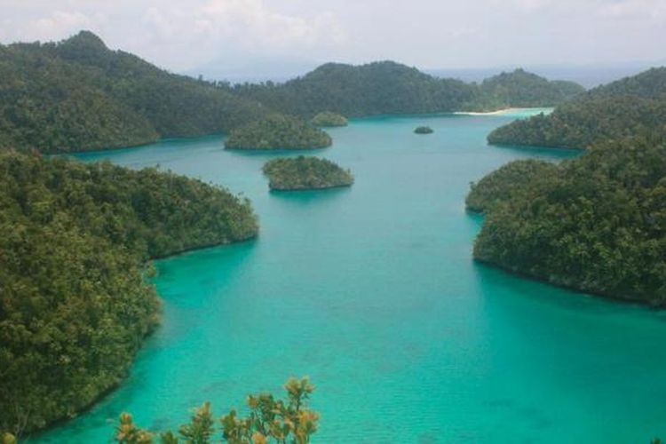 Kepulauan Raja Ampat di Papua Barat memiliki kecantikan alam luar biasa sekaligus menyimpan potensi keragaman hayati laut tropis terkaya di dunia. Di sana hidup 1.459 spesies ikan karang, 553 spesies karang, 42 spesies udang mantis, dan 16 spesies mammalia laut. Raja Ampat merupakan jantung pusat segitiga karang dunia. Foto diambil pada Jumat (5/10/2012).

