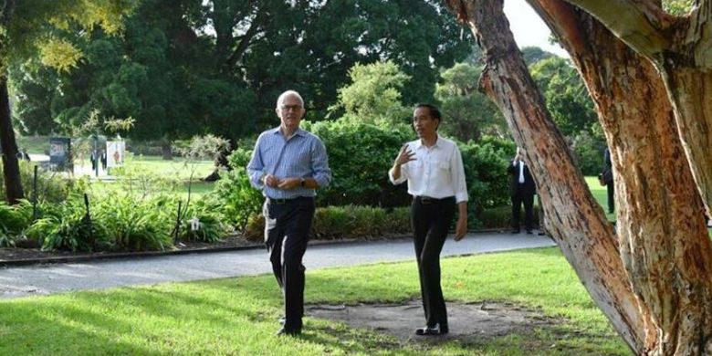 Presiden Joko Widodo berjalan pagi di Royal Botanic Garden Sydney bersama PM Malcolm Turnbull, berbincang santai sambil menyapa warga Australia.