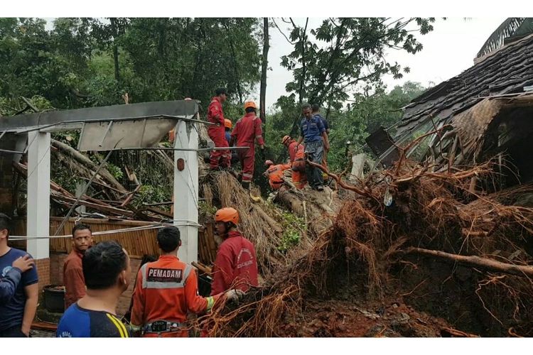 Tragedi Pondok Indah: Pohon Tumbang Hancurkan Mobil Lexus, Pengemudi Tewas