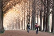 Korea Rilis Situs Baru untuk Wisatawan Indonesia