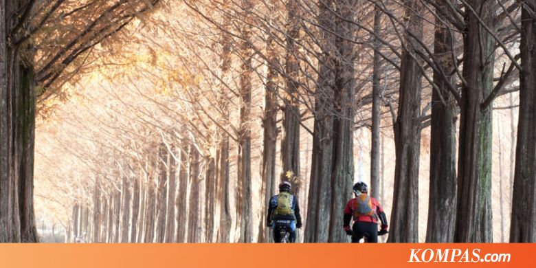 Korea Rilis Situs Baru untuk Wisatawan Indonesia