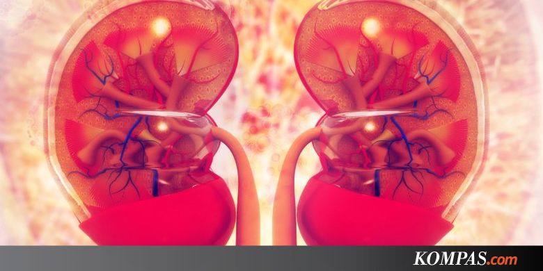 Awas, 7 Gejala Ini Petunjuk Ginjal Sedang Terinfeksi