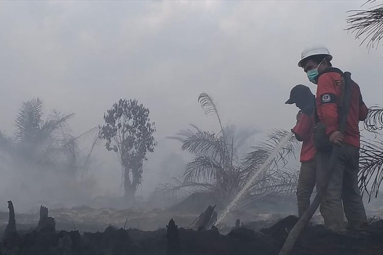 Tim Fire Emergency Respon Team PT RAPP melakukan pemadaman karhutla di Desa Dayun, Kecamatan Dayun, Kabupaten Siak, Riau, Minggu (4/8/2019).