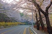 5 Tips Berlibur ke Busan Bersama Keluarga