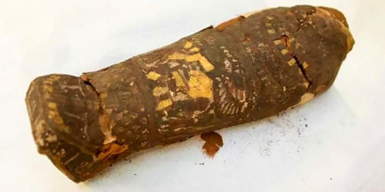 Peti dari Mesir kuno berisi mumi janin laki-laki yang lahir tidak normal 