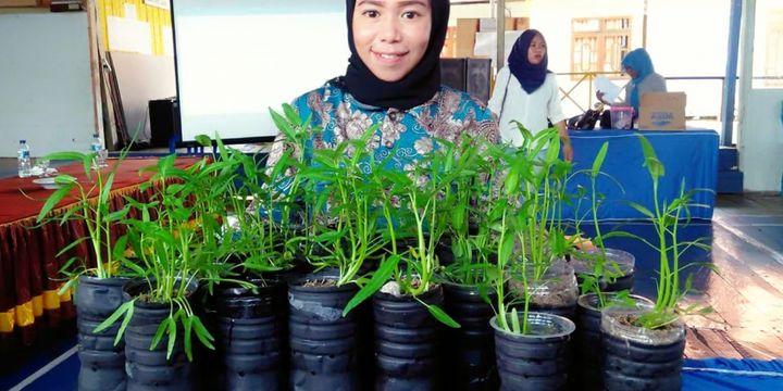 Tak Punya Ladang Suku Bajau Torosiaje Berlatih Sistem Tanam