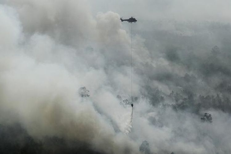 Helikopter Super Puma yang dikerahkan oleh Sinar Mas Forestry menjatuhkan bom air dalam upaya membantu pemadaman kebakaran hutan dan lahan di Desa Bokor, Kecamatan Rangsang Barat, Kabupaten Kepulauan Meranti, Selasa (15/3/2016).