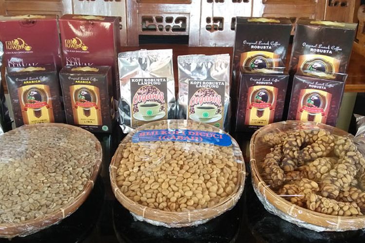 Sentra pengembangan kopi luwak di Gang Pekonan, Way Pengaku, Kota Liwa, Kabupaten Lampung Barat, Lampung.