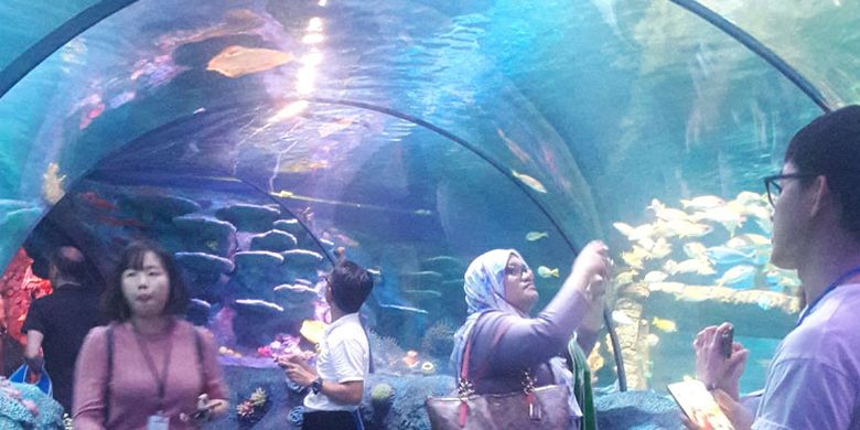 SEA LIFE Malaysia adalah destinasi wisata baru yang dibuka Jumat (28/6/2019) di LEGOLAND Malaysia Resort, Johor Bahru, Malaysia. Peluncuran gerbang ketiga dari taman hiburan di LEGOLAND ini untuk meningkatkan kunjungan wisatawan ke Johor Bahru. Aquarium bertema LEGO dengan dua lantai ini menjanjikan liburan yang menyenangkan bagi seluruh keluarga.