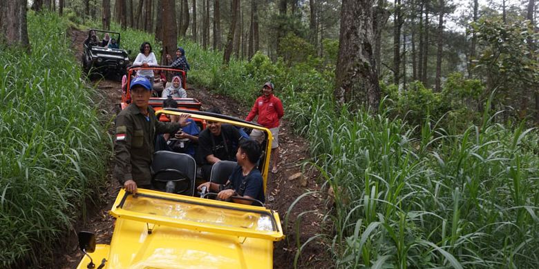 Lawu Tour Jeep Adventure di Mojosemi Forest Park, Kabupaten Magetan, Jawa Timur, Rabu (23/1/2019).