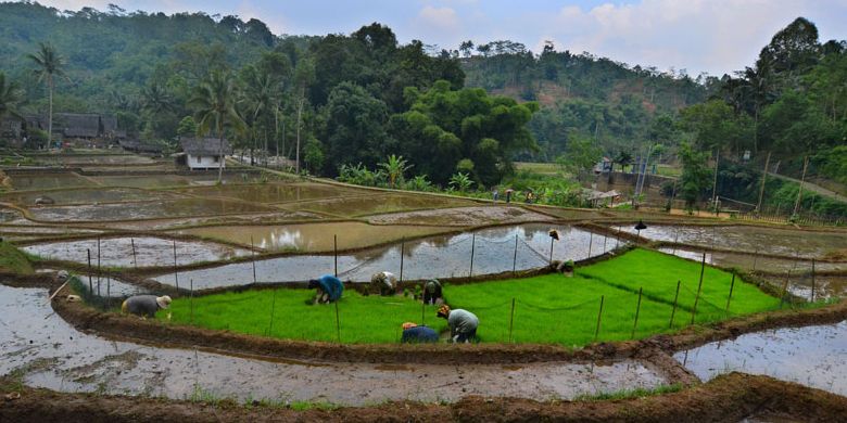 Kampung Naga di Desa Neglasari, Kecamatan Salawu, Kabupaten Tasikmalaya, Jawa Barat.